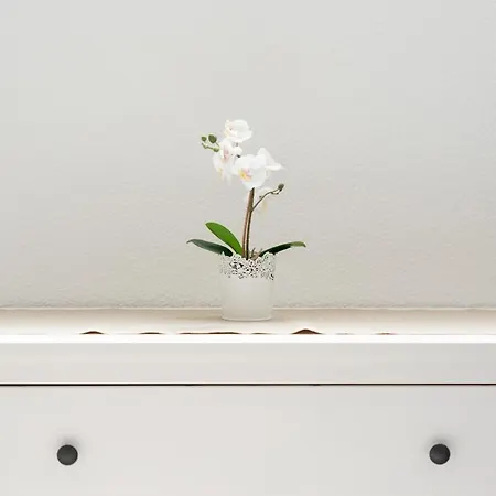 公寓 Pool View Cactus