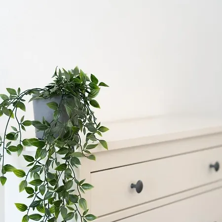 Pool View Cactus Playa del Inglés