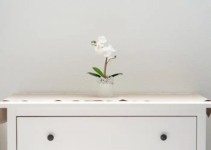 公寓 Pool View Cactus