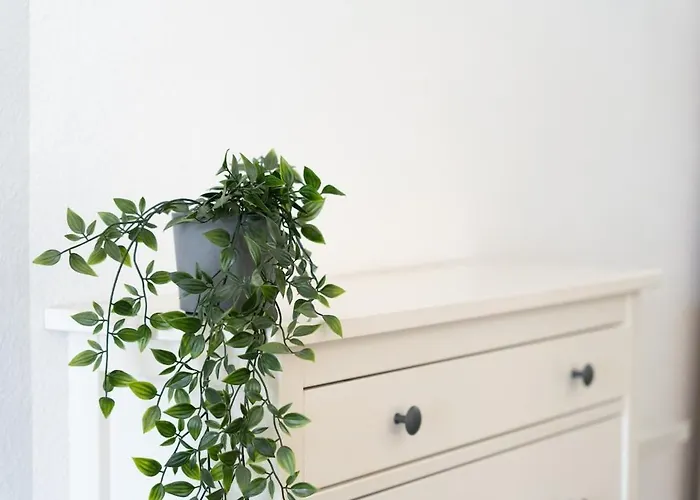 Pool View Cactus Playa del Inglés