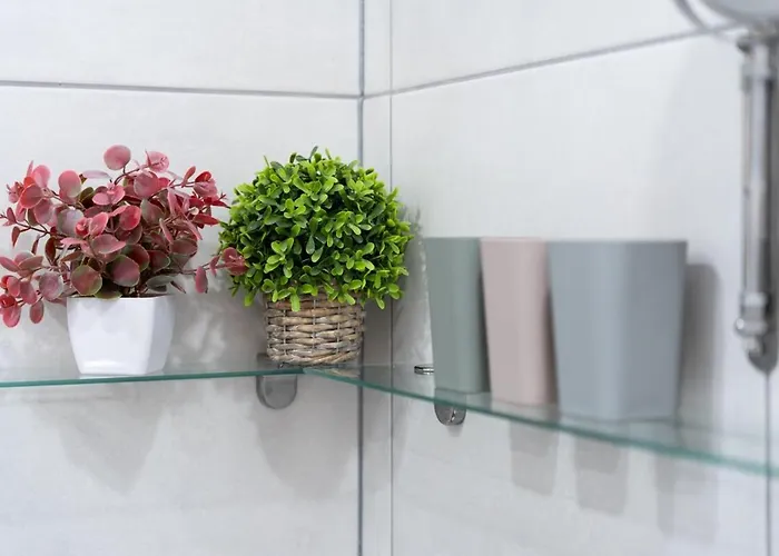 Pool View Cactus * Playa del Ingles (Gran Canaria)